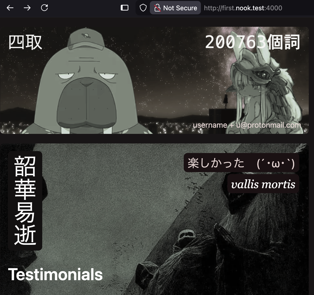 this website on the nook.test domain